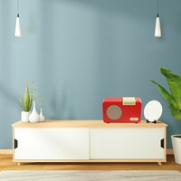 OER Muziekspeler (Dementievriendelijk)